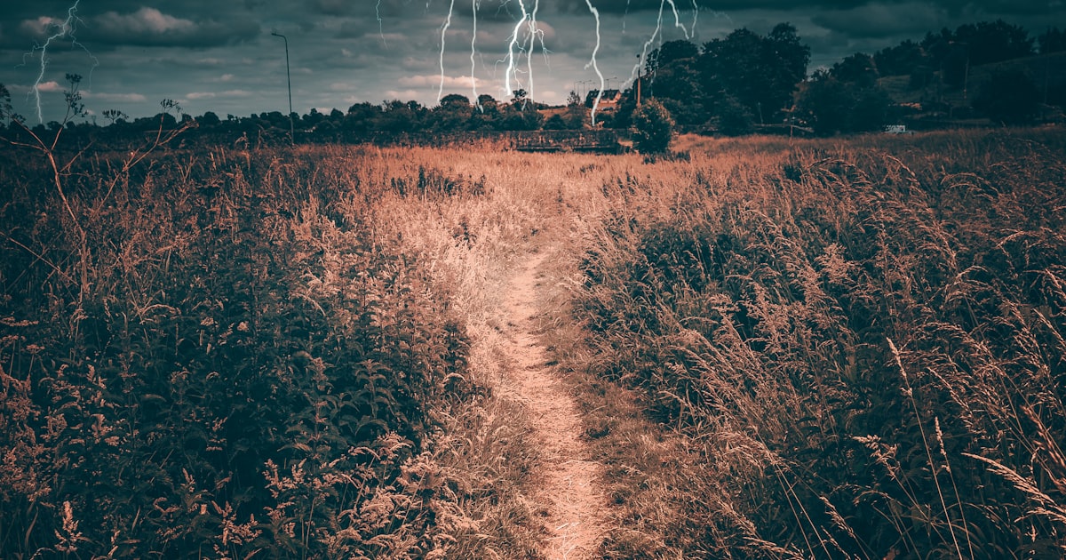 Winterpause im Gartenbau nutzen — Betrieb digitalisieren