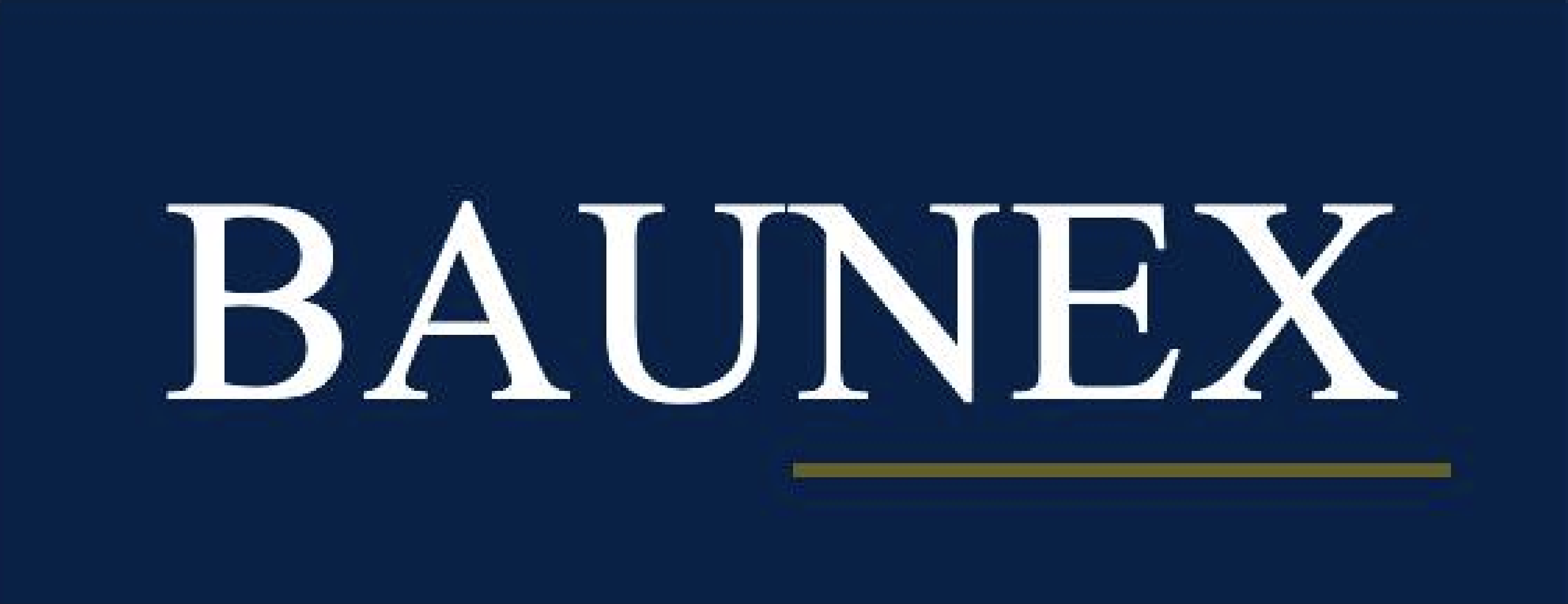 Baunex - Software für Bau- und Handwerksbetriebe